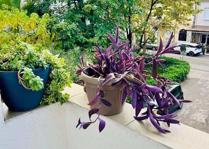 Center Oasis Retreat Ποντγορίτσα