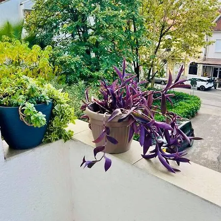 Center Oasis Retreat Apartment Podgorica