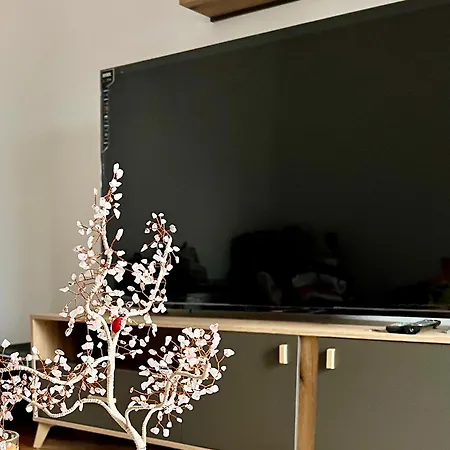 Apartment Center Oasis Retreat Podgorica
